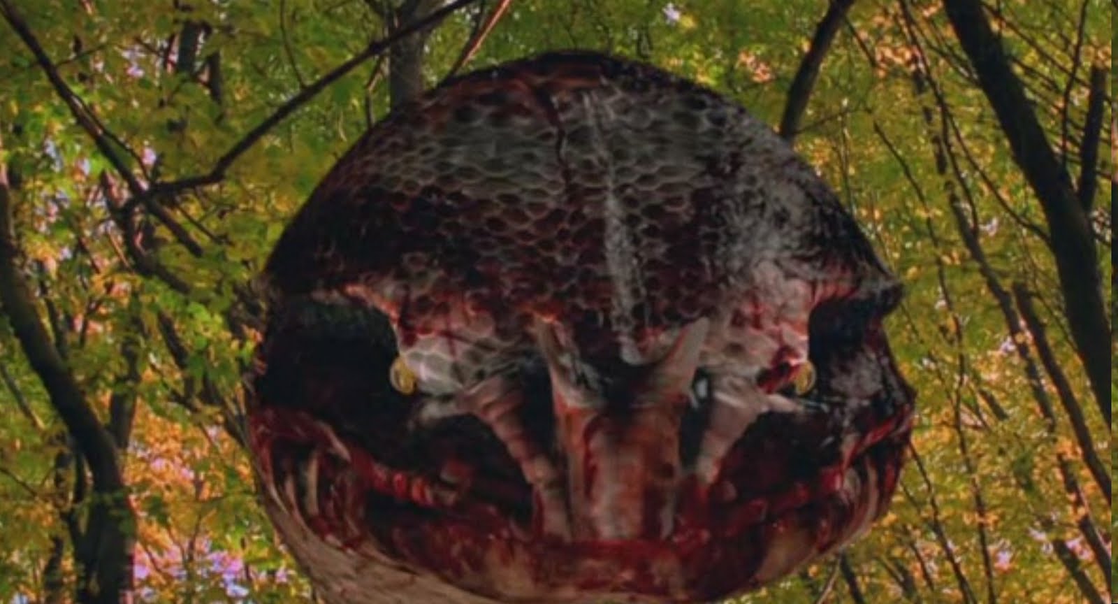 Videotape: Mega snake (2007)