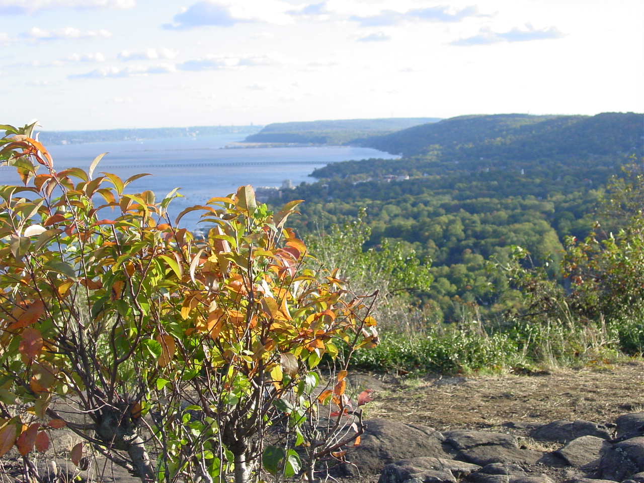 Nyack Backyard Fall Foliage Peak Week in Nyack