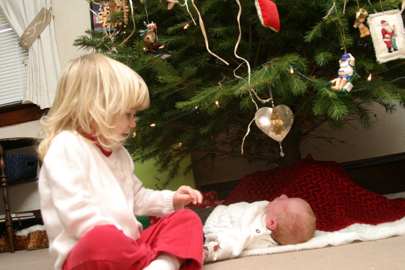 [IMG_1682.JPG]