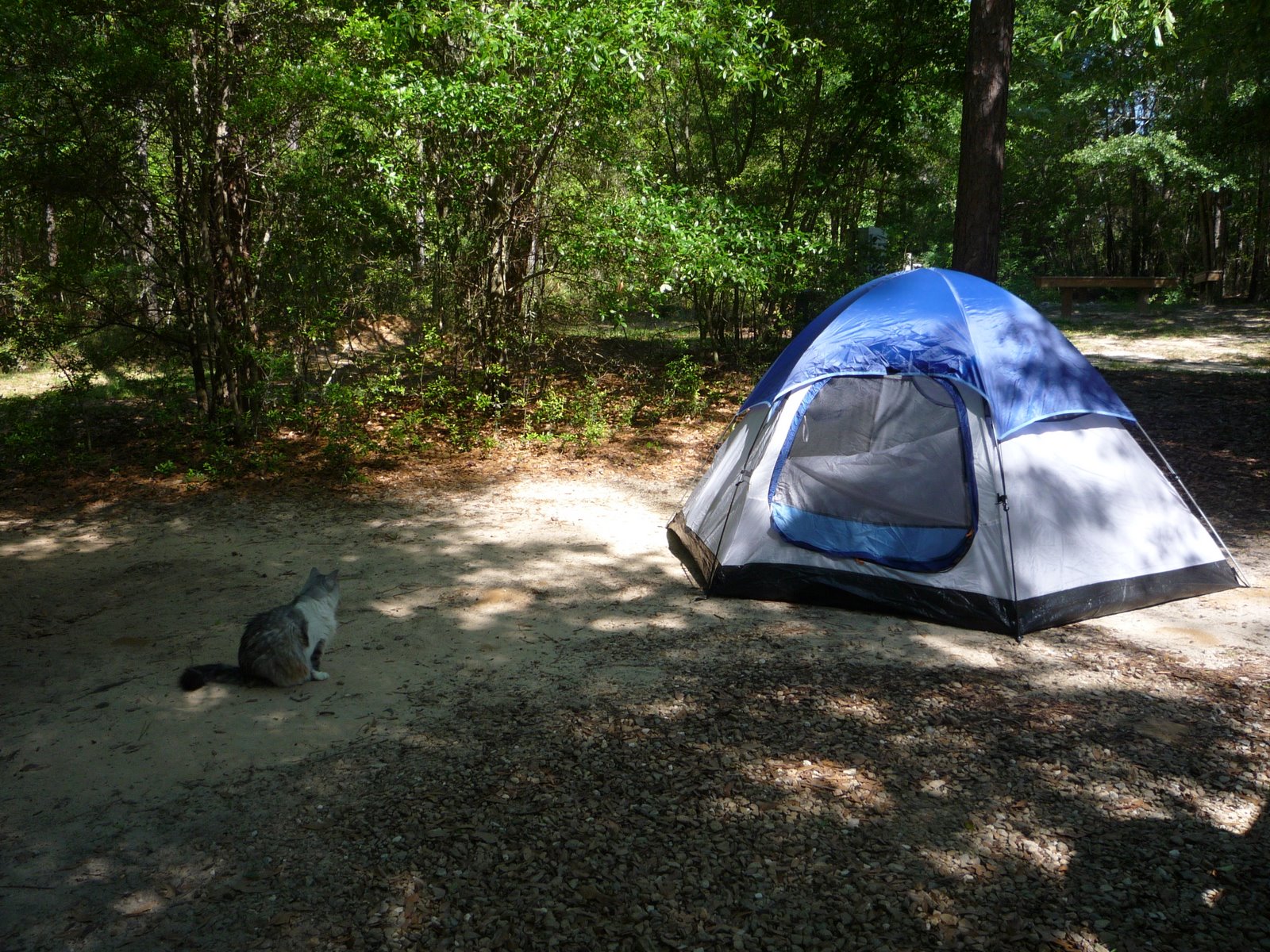 [Fallin+Waters+State+Parl+001.JPG]