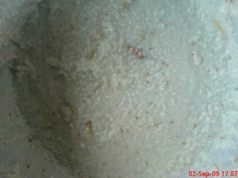 [DSC01613.JPG]