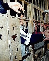 [detenuti.jpg]