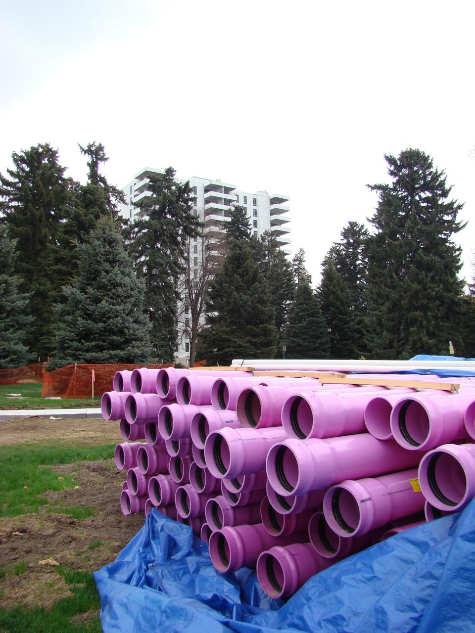 Denver Direct That Pesky Purple Pipe Water