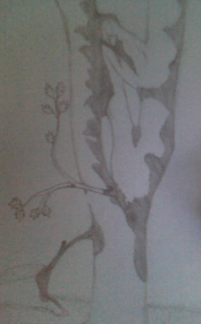 [WebCam_20090713_1740(2).bmp]