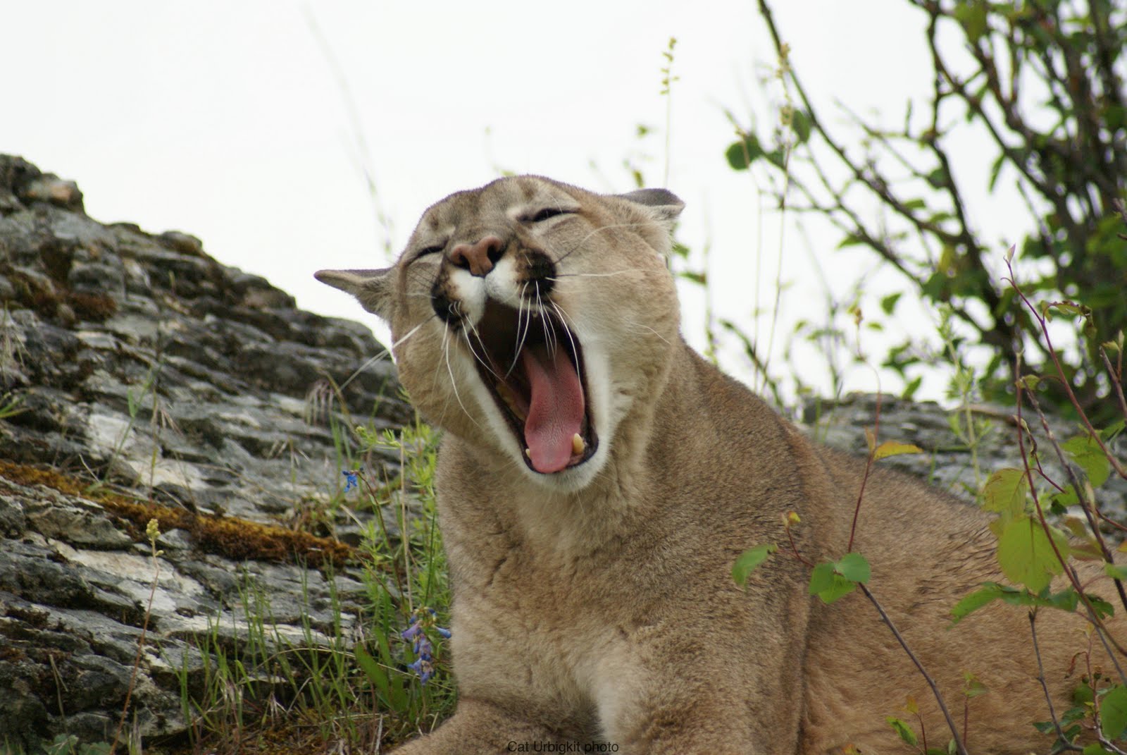 [DSC07178.JPG]