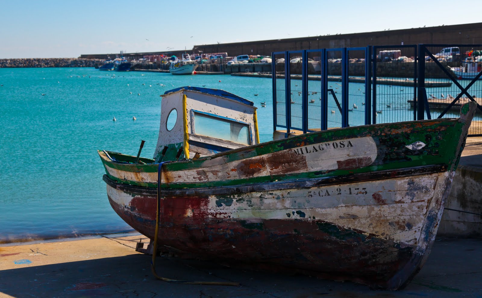 [IMG_0792.jpg]