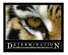 Only determination will get u to ur goals!