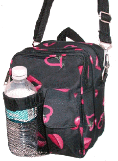 $6 lips day purse