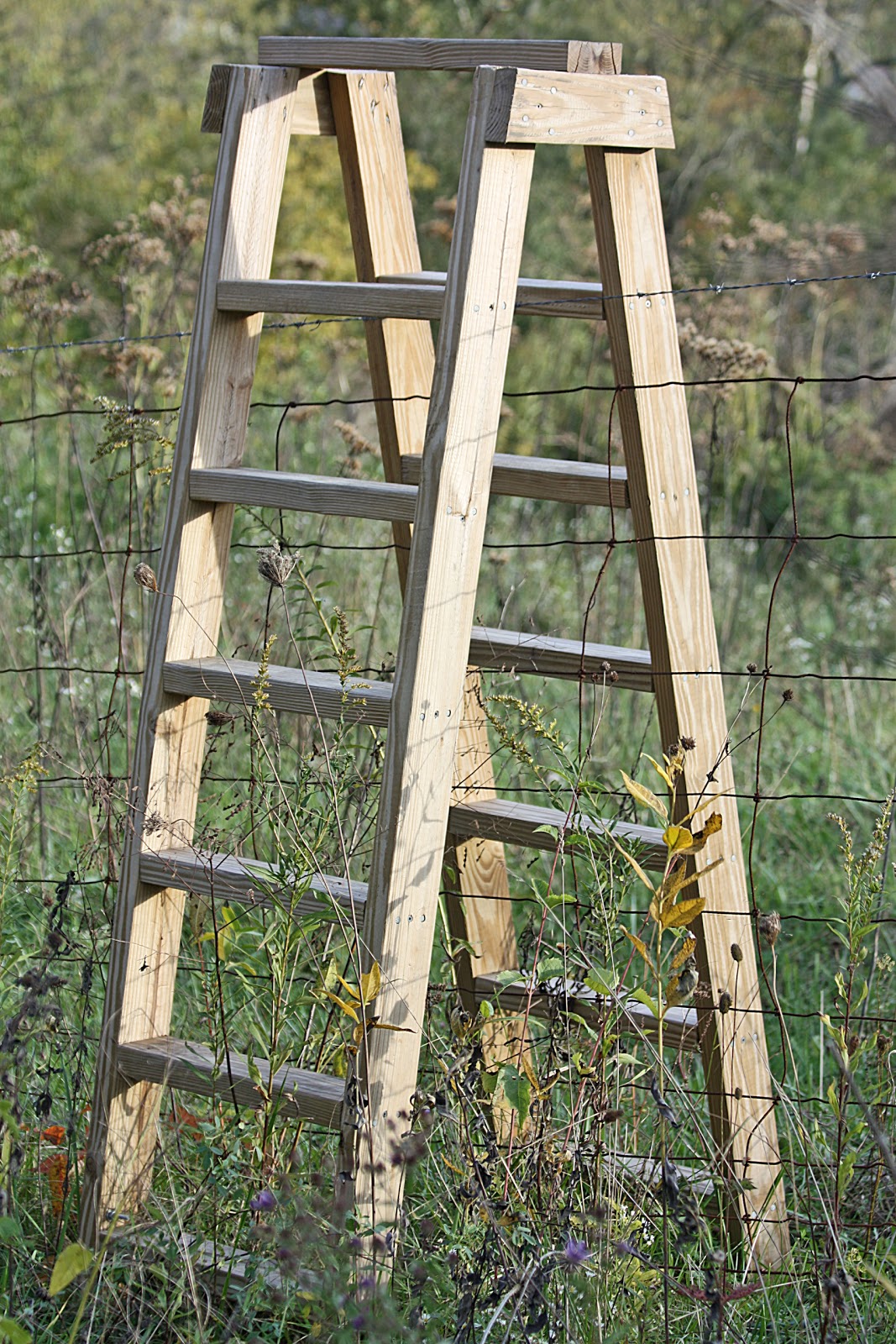 Wooden Ladder Naquillity