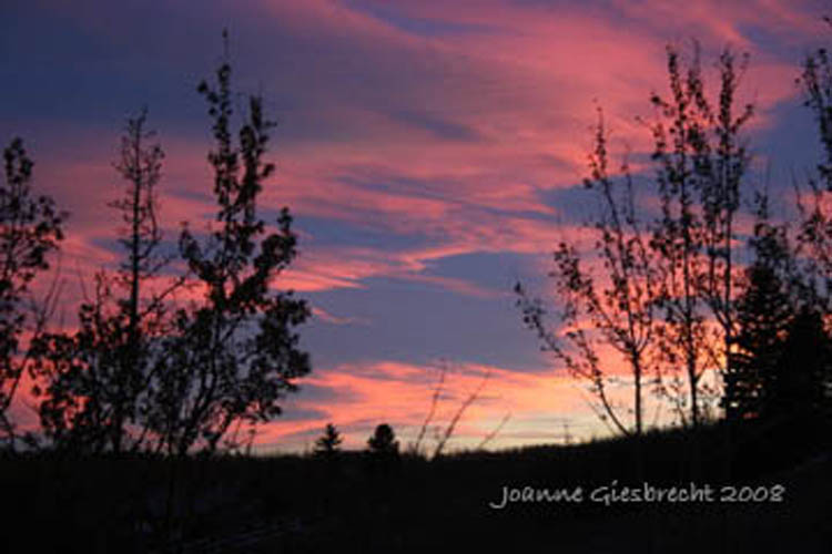 [Chinook+Sunset+2+copy.jpg]