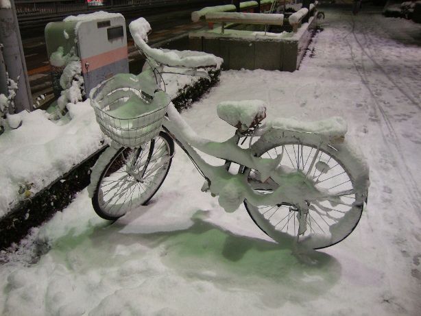 Osaka Snow