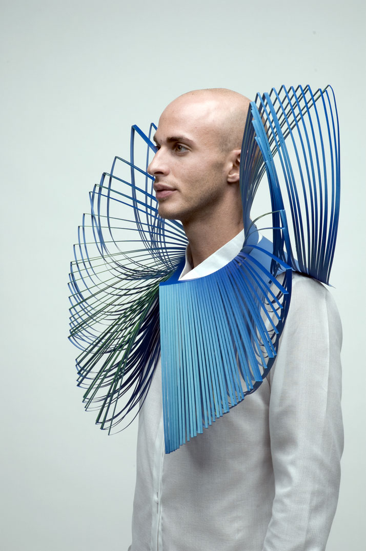 Animal Inspired Contest