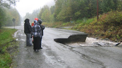 Highway 20 6 km from Bella Coola