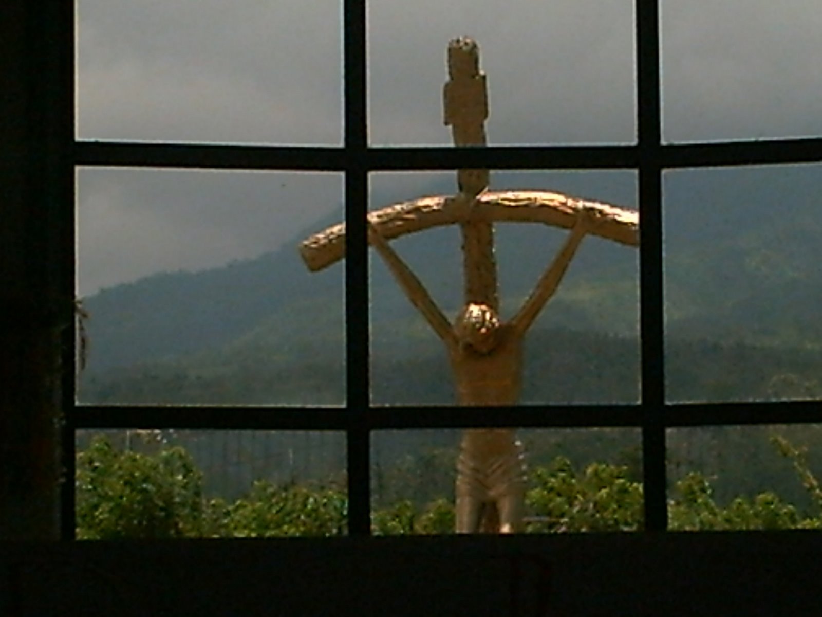 [PICT0087.JPG]