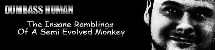 The Insane Ramblings of a Slightly Evolved Monkey