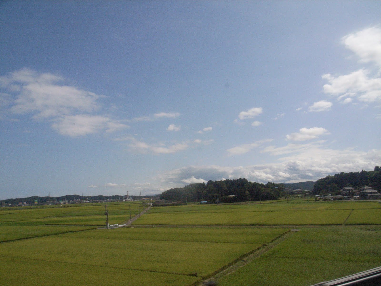 [R0016499.JPG]