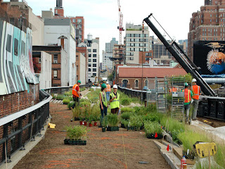 More than 200 species were planted in the 1.45 mile long park.