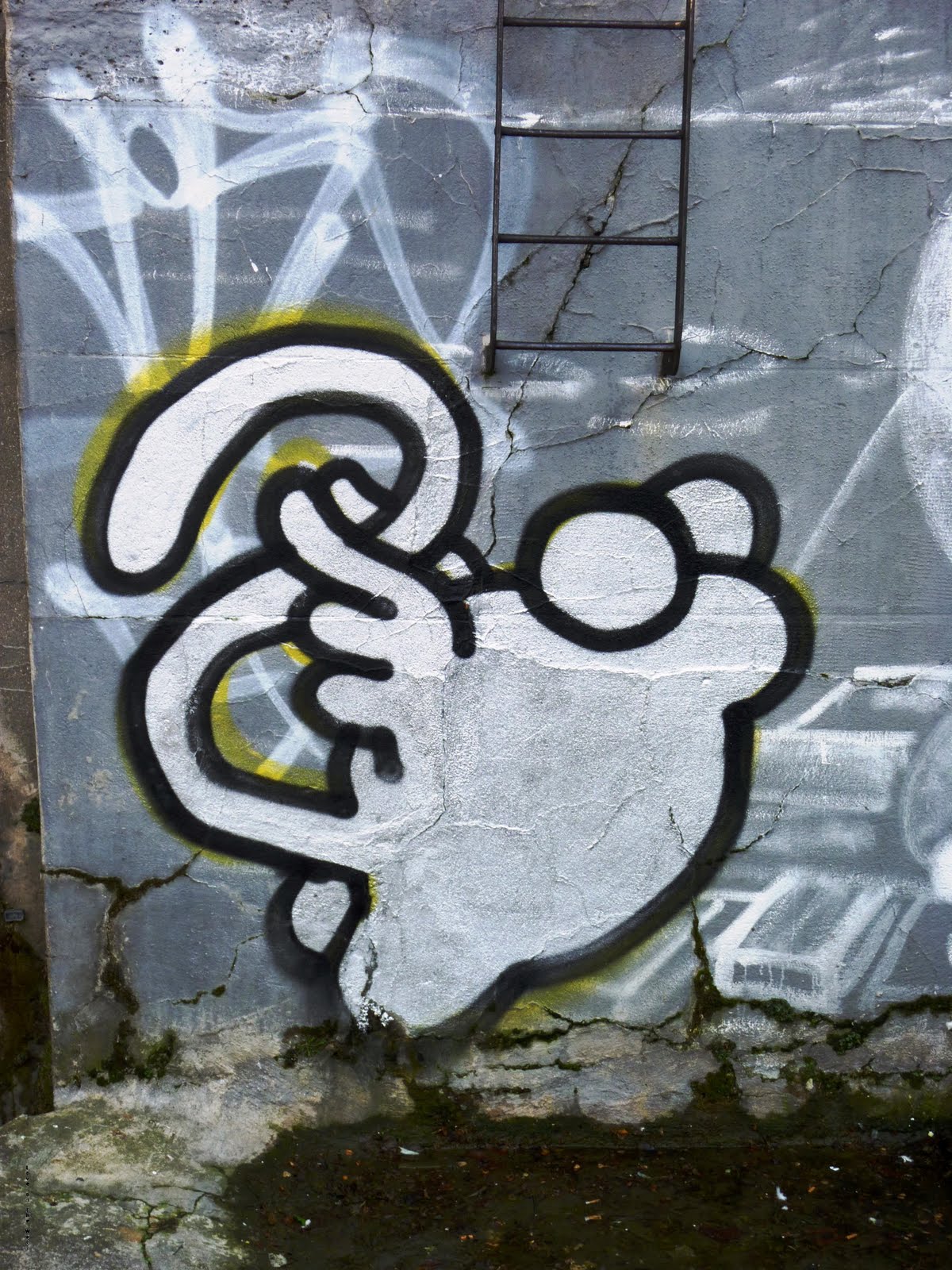 Mr Chat