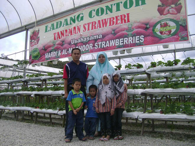 Jalan-jalan di Cameron Highlands