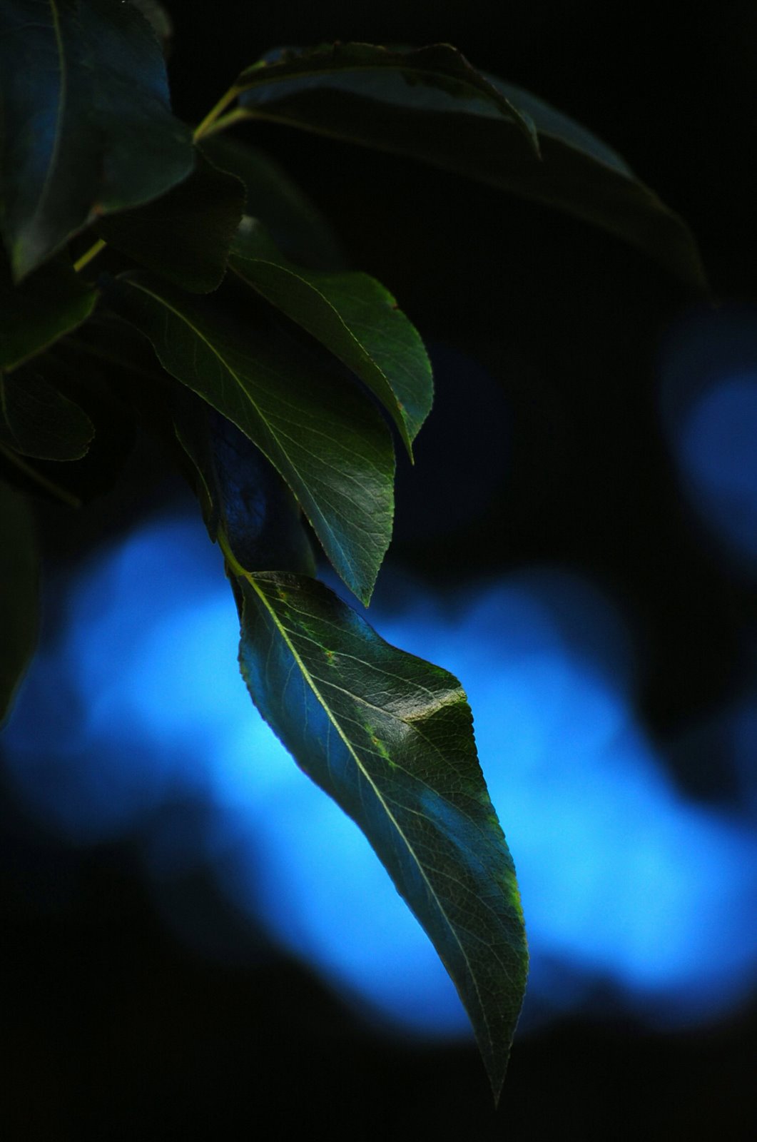 [DSC_04650001.JPG]