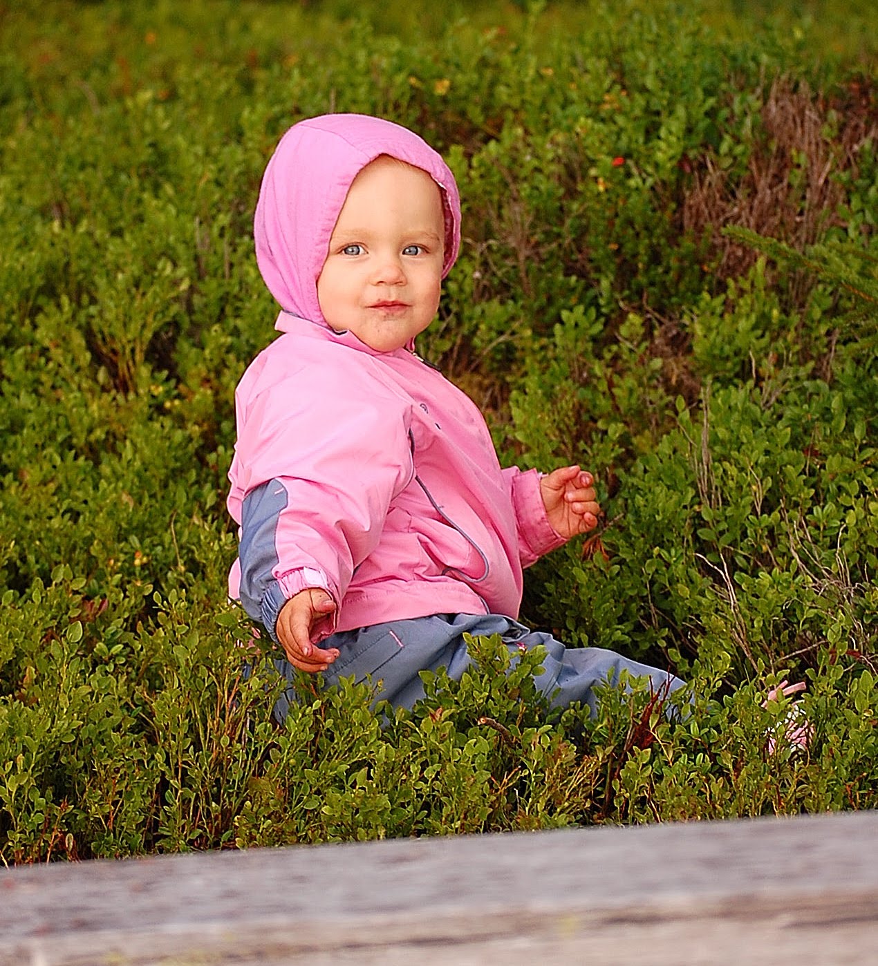 [DSC_01570001.JPG]