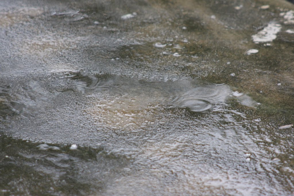 [DPP_0001.JPG]