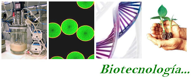 Biotecnología 2008
