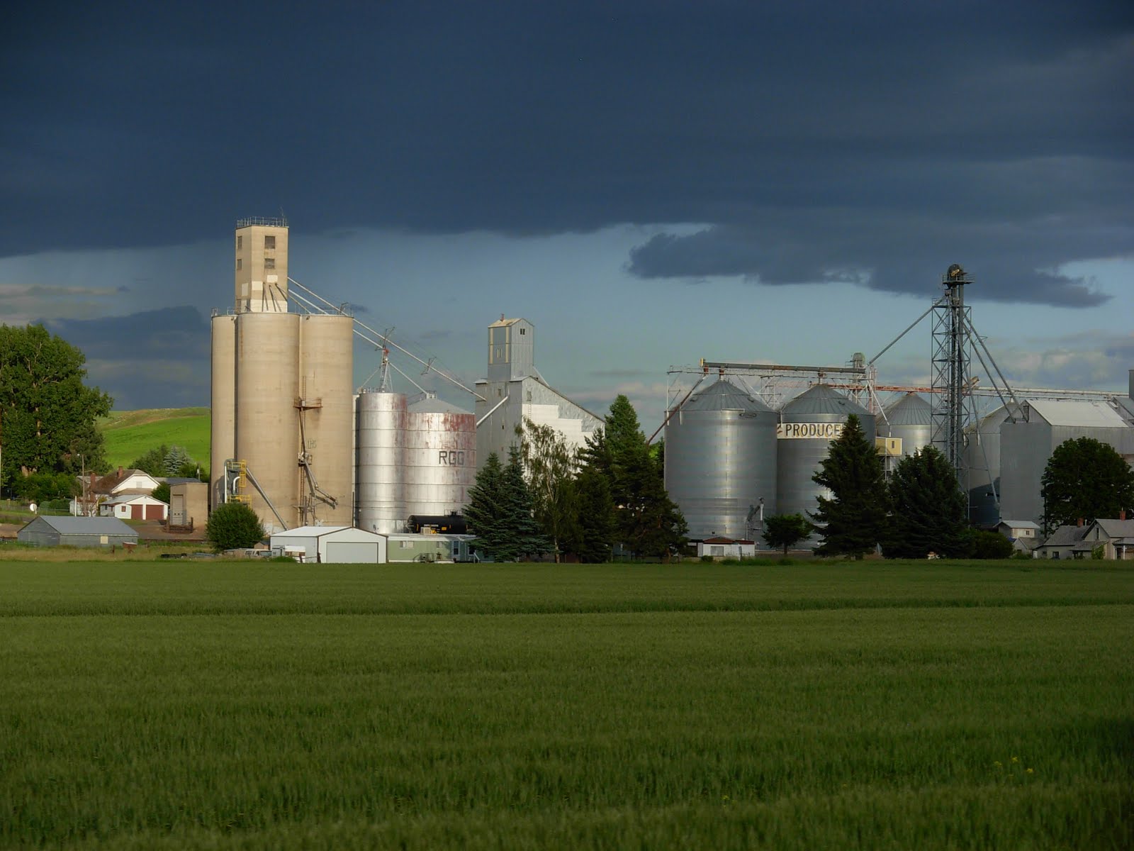 . Gateway to the Palouse Spangle, WA