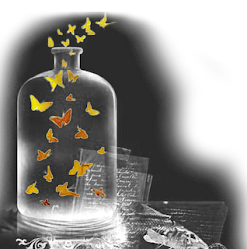 botella - mariposas escapando