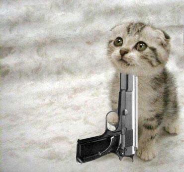 [kill-the-cat.jpg]