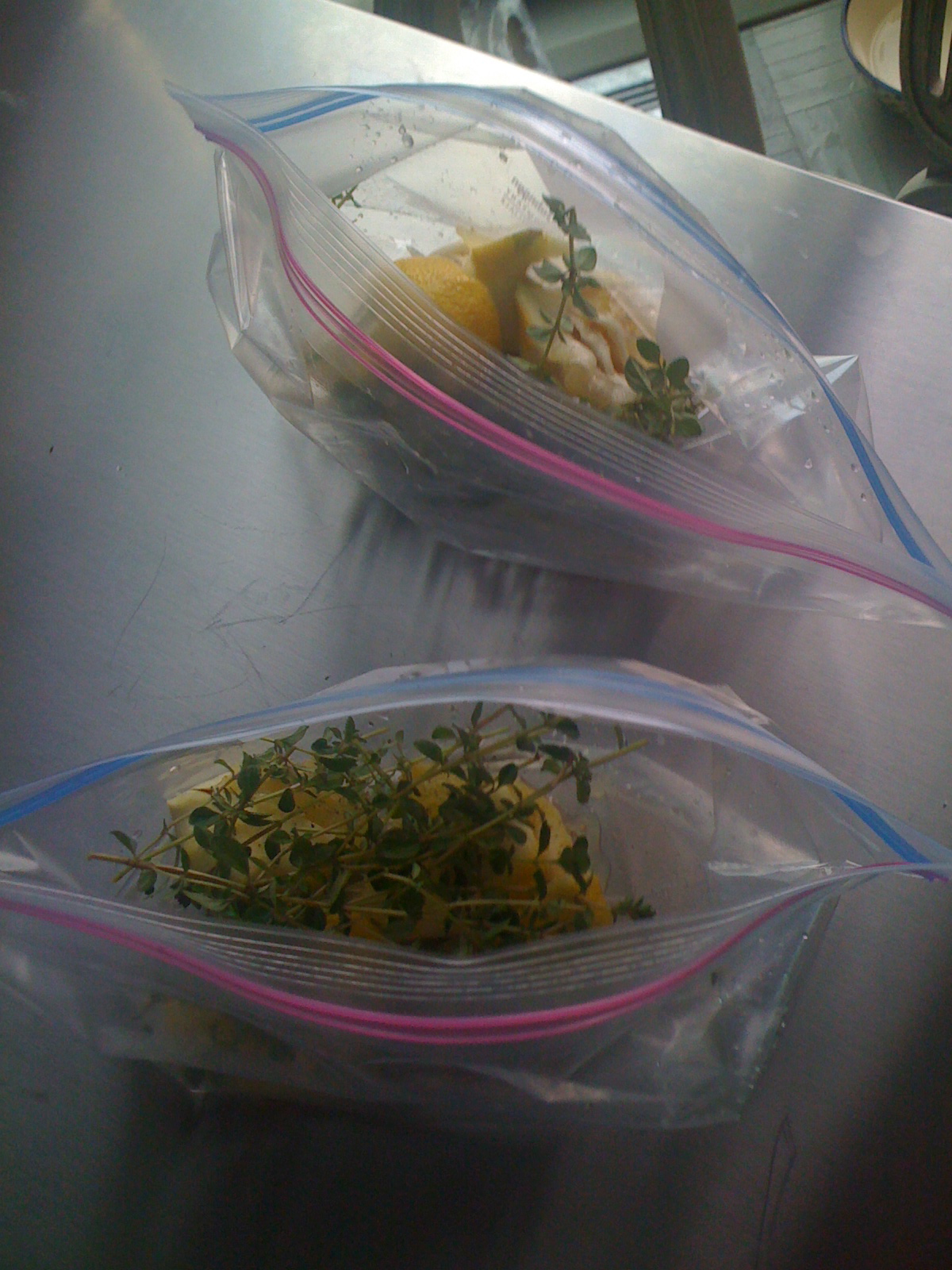[chix+marinating.JPG]