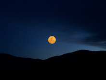 Grateful Night