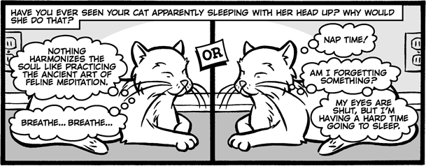 [Cats3.gif]