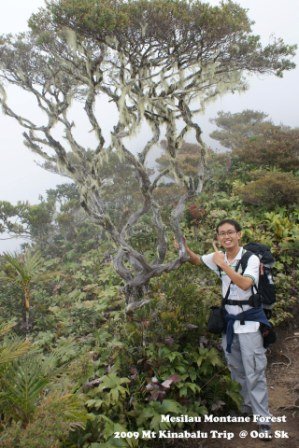 [Mt.+Kinabalu+Trip+208.JPG]