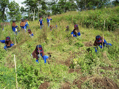 Ayo tanam pohon