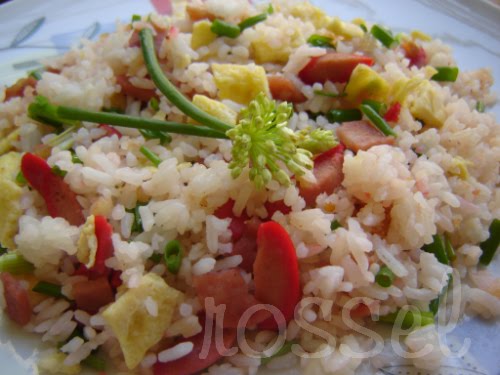 Special Fried Rice Disease. this special fried rice,