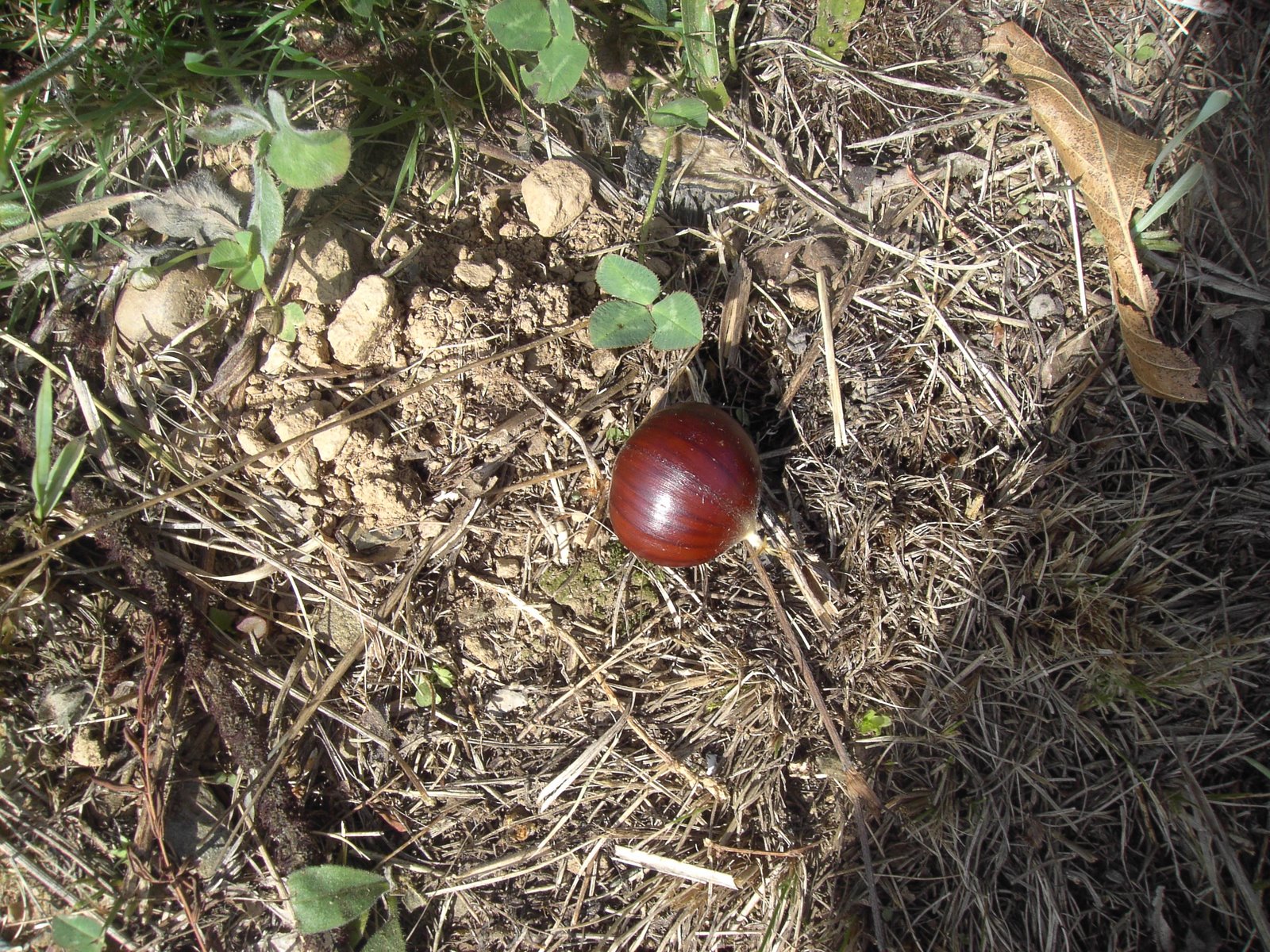 [PICT1060.JPG]