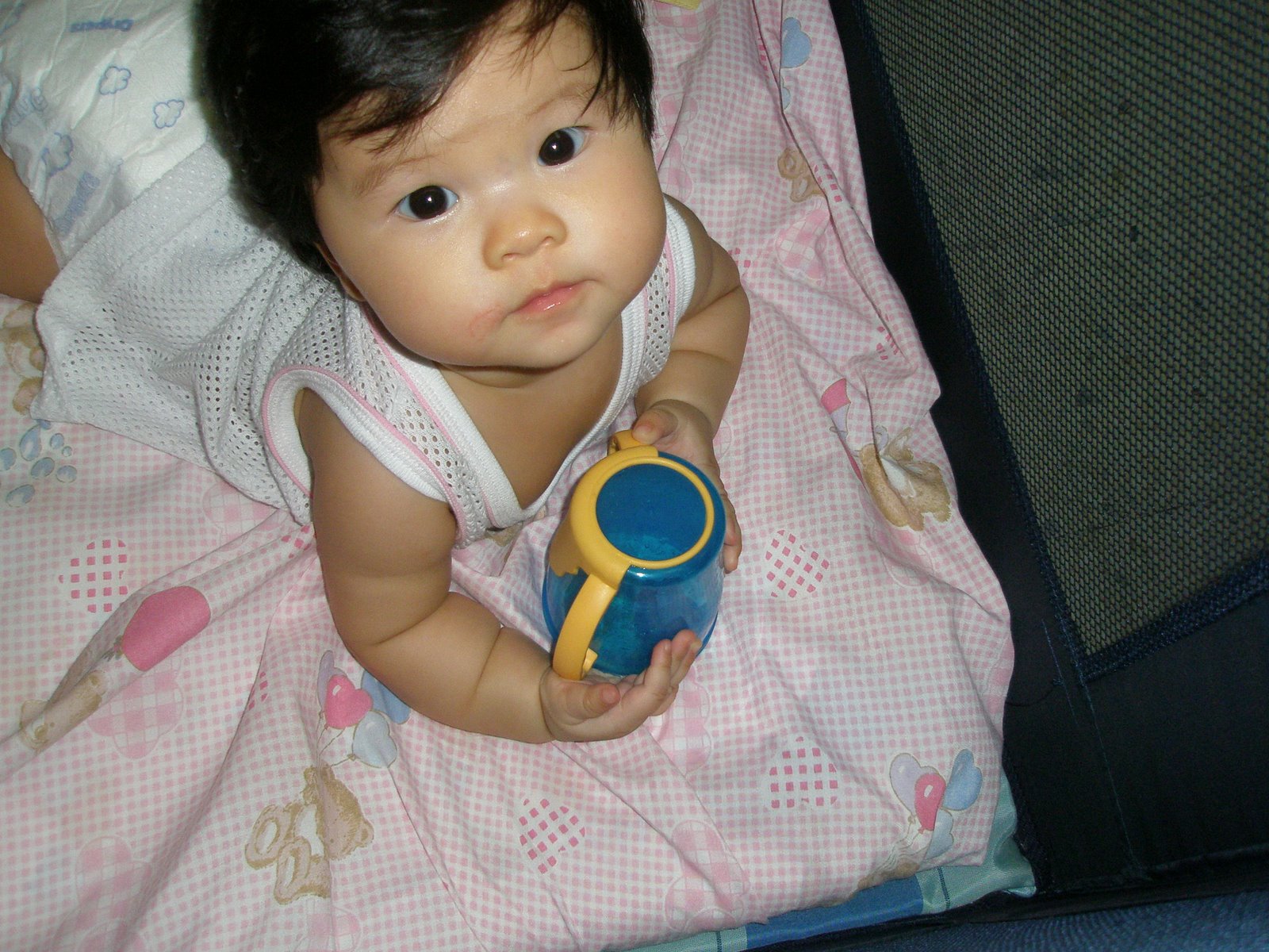 [BBC+and+cup+007.jpg]