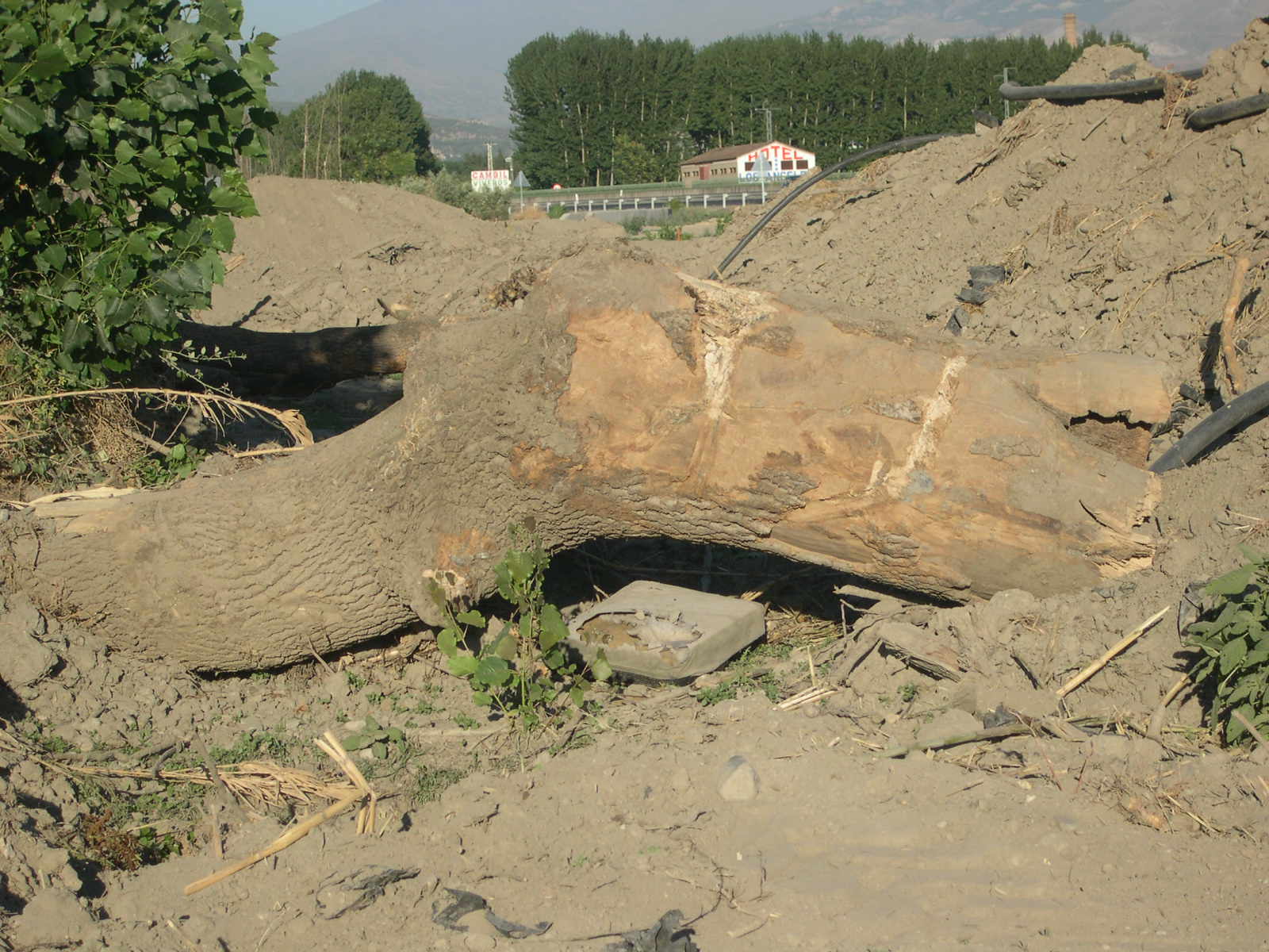 [Destrozo_Canal_de_San_Juan_2.jpg]