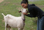 Sarah with Wendy, a Dairy Goat
