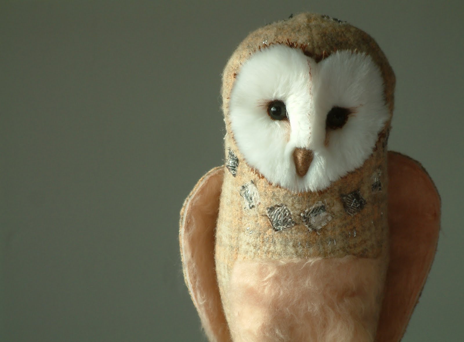 The Raggy Rat A New Barn Owl My Children Call Her