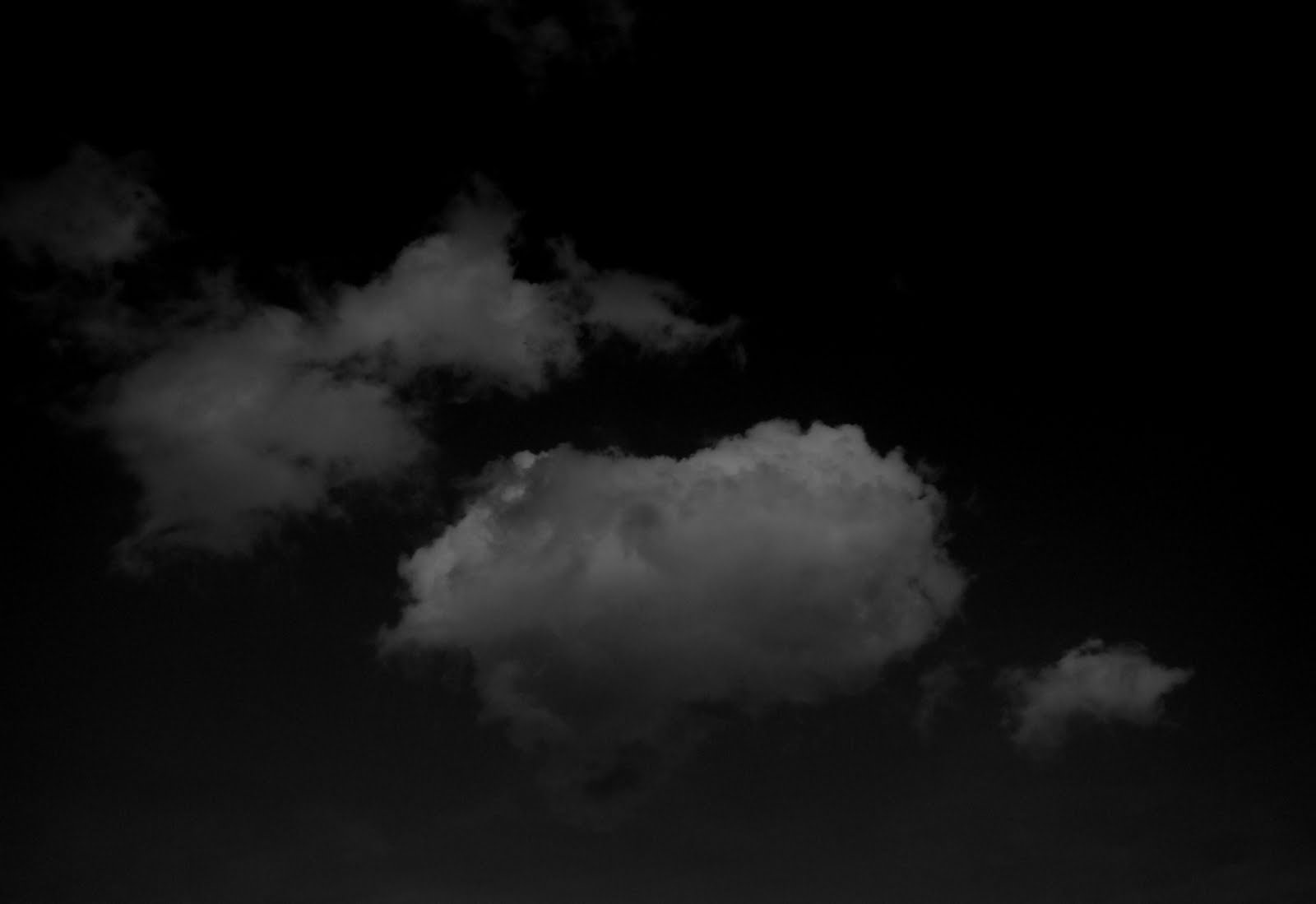 [DSC04465.JPG]