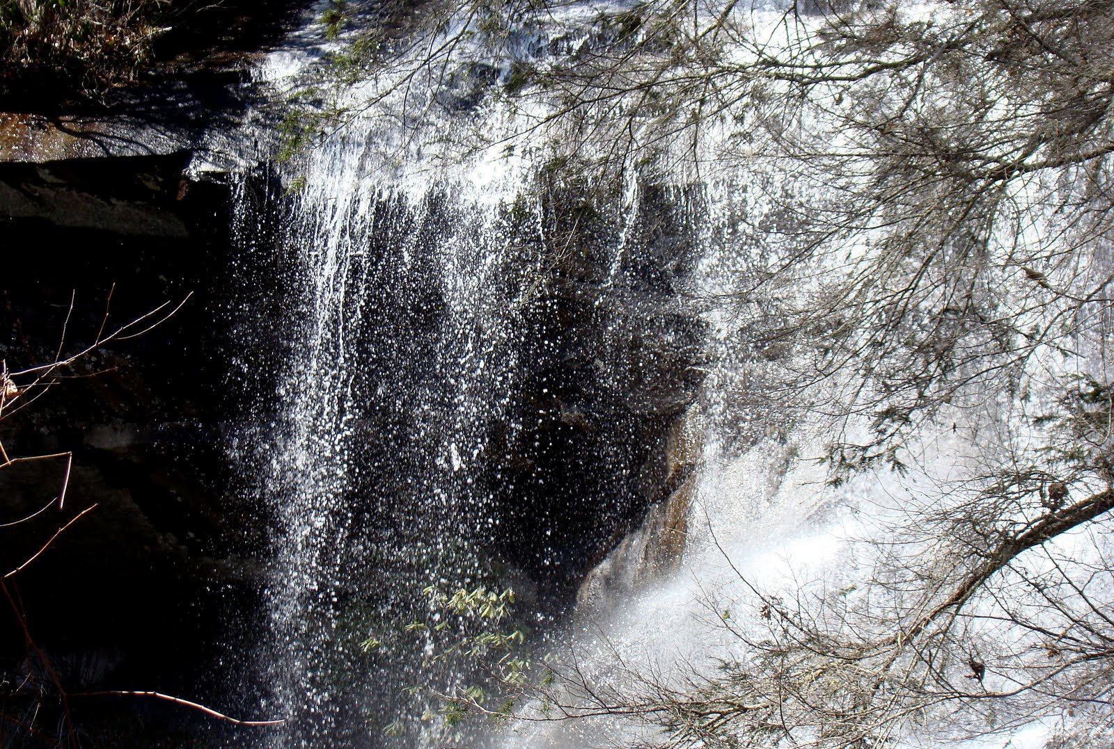[DSC06157.JPG]