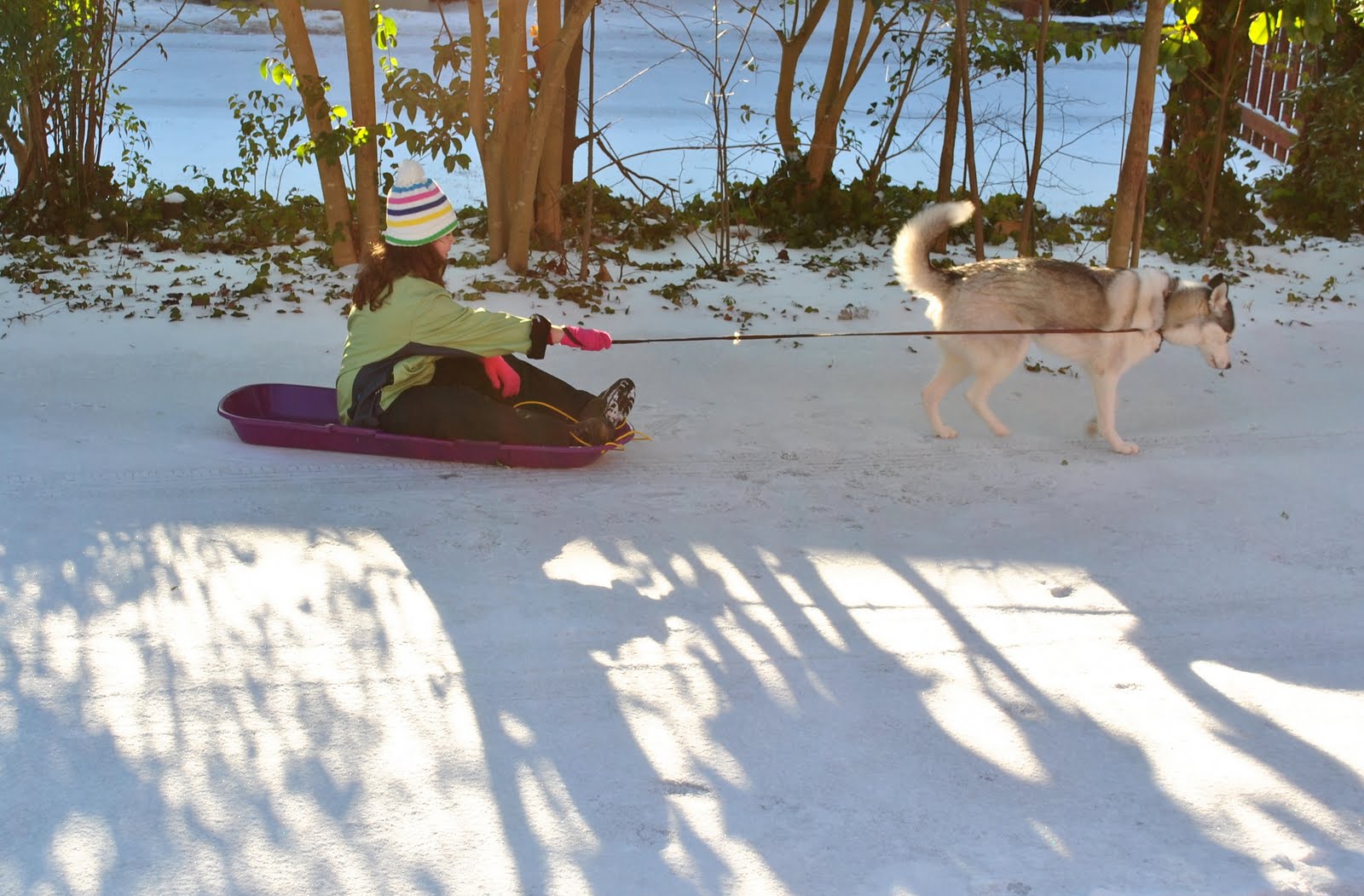 [DSC_0002.JPG]