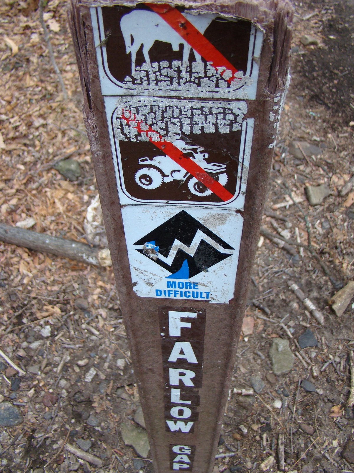 [DSC09951.JPG]