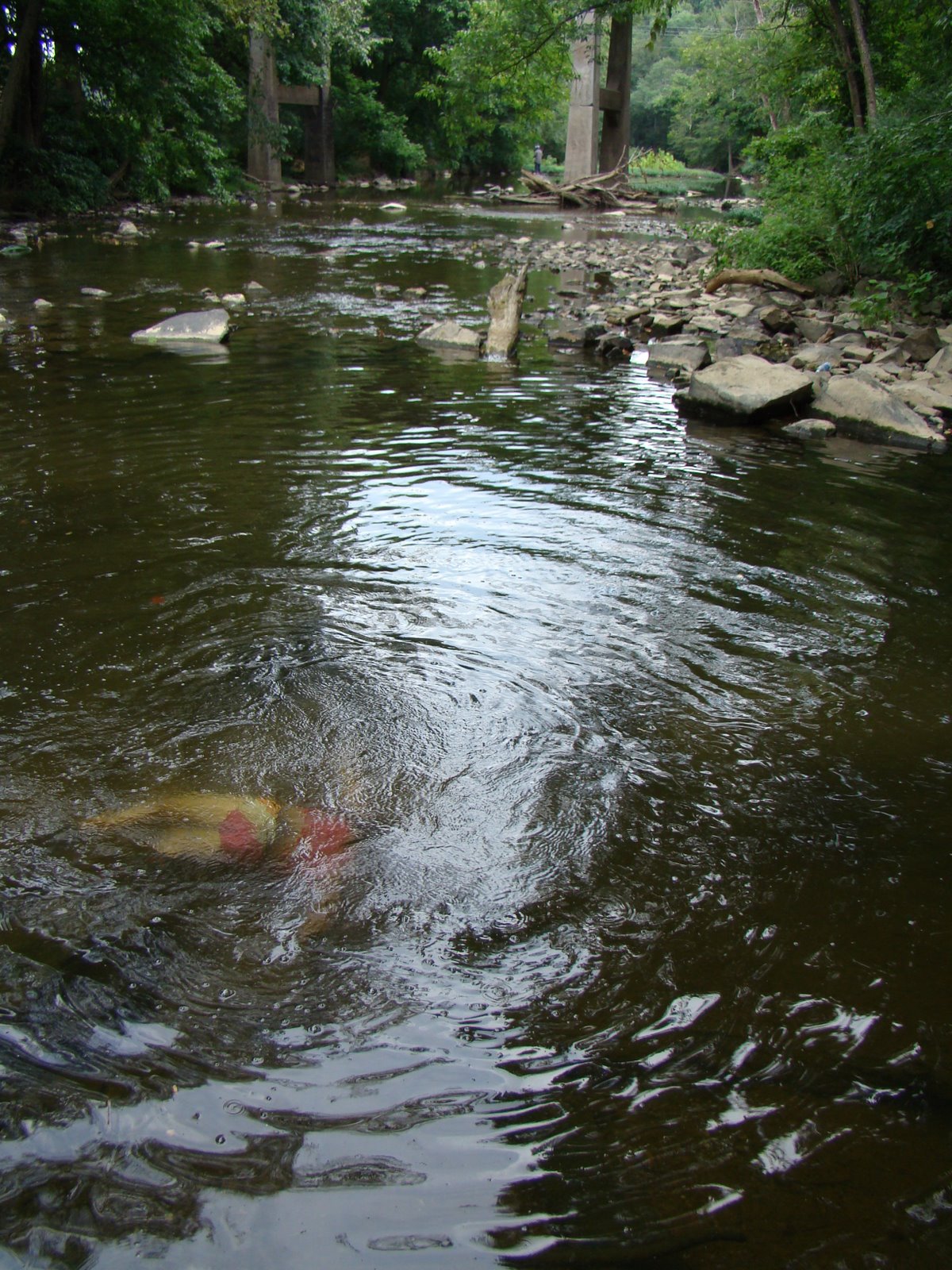 [DSC03876.JPG]