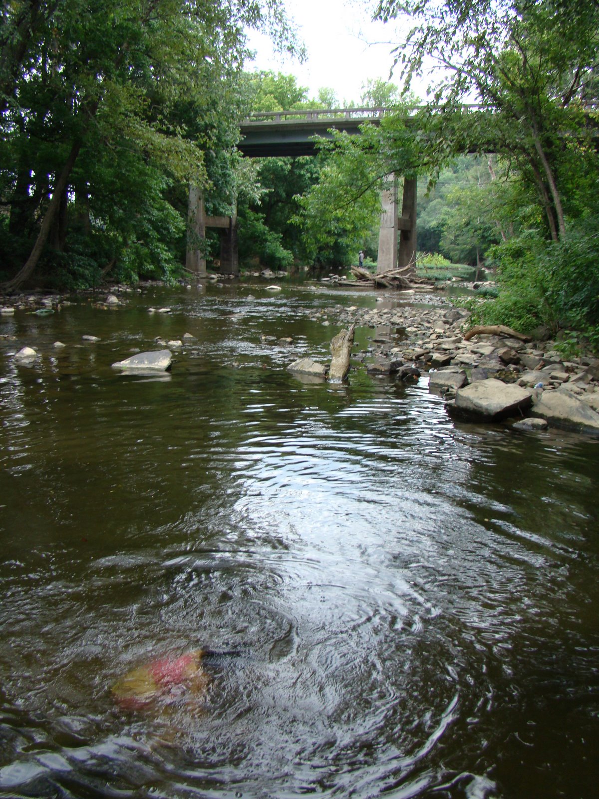 [DSC03875.JPG]