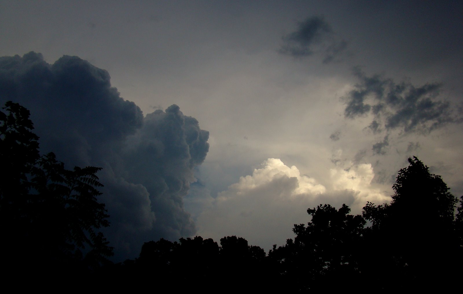 [DSC04184.JPG]