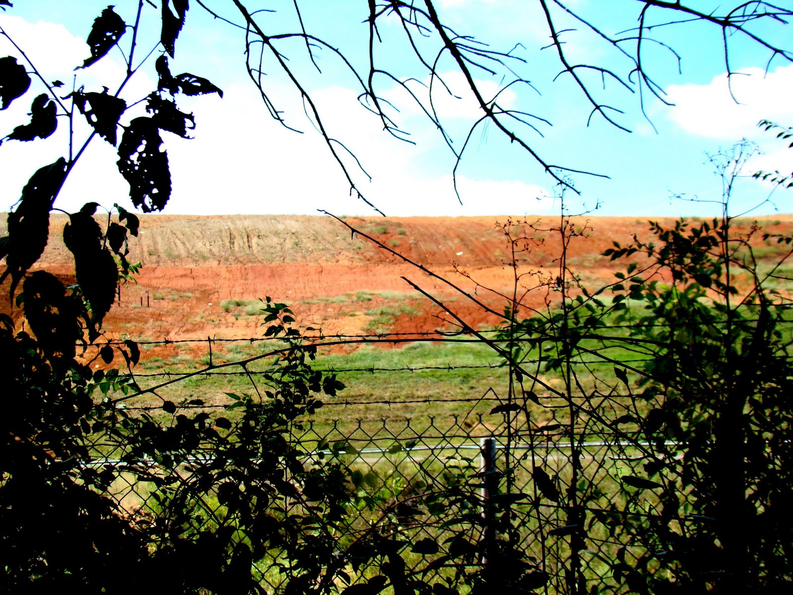 [DSC05014.JPG]