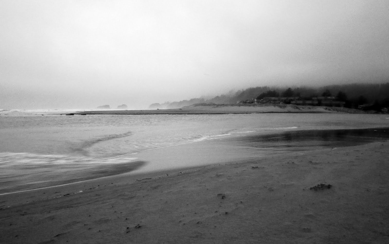 BELLINGHAM DAILY PHOTO Road Trip to Cannon Beach